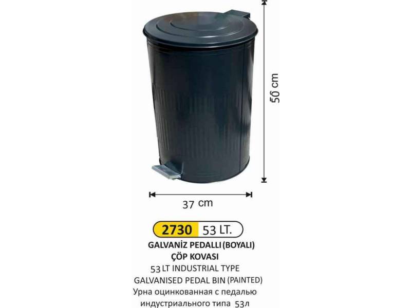 Arı Metal 2730 Galvaniz Boyalı Çöp Kovası Dik Pedallı 53 Litre