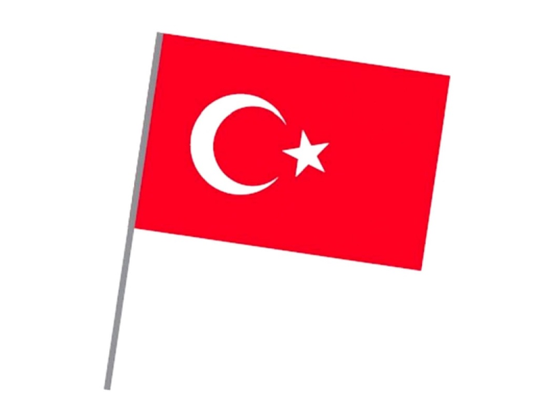VATAN 20x30 SOPALI BEZ BAYRAK VT225 VATAN 20x30 SOPALI BEZ BAYRAK VT225