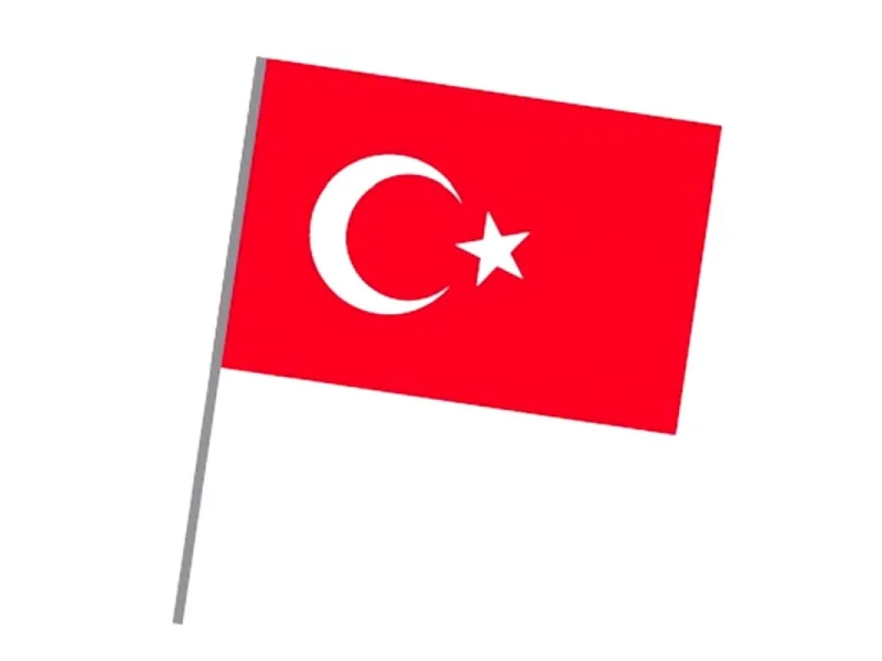 VATAN 30x45 SOPALI BEZ BAYRAK VT226 VATAN 30x45 SOPALI BEZ BAYRAK VT226