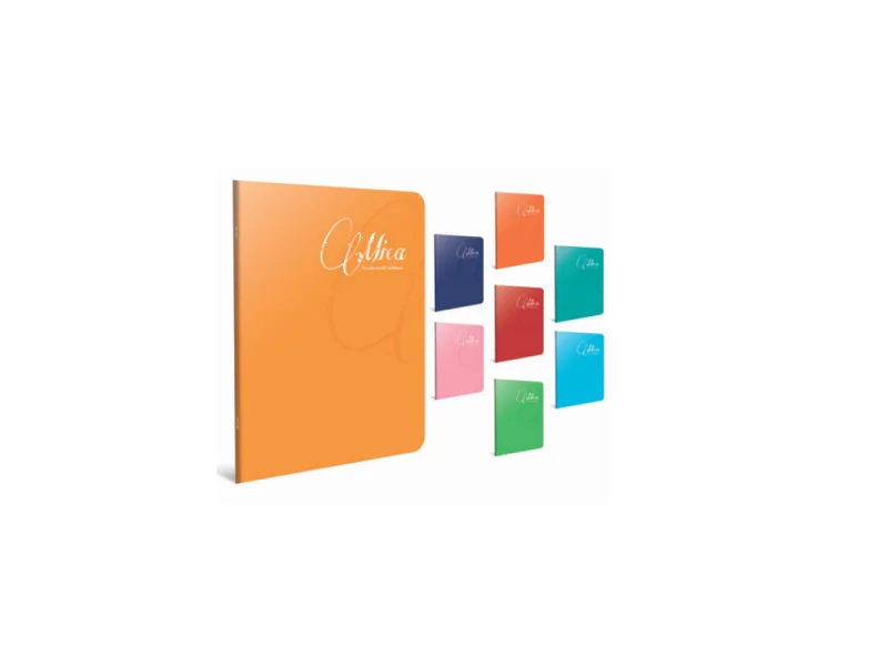 GIPTA MICA A5 60 YP KARELİ PP KAP.DEFTER 1712 GIPTA MICA A5 60 YP KARELİ PP KAP.DEFTER 1712