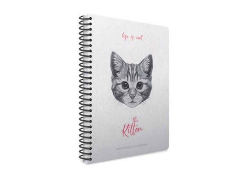 GIPTA 7070 PAW A4 80 YP ÇİZGİLİ SPR PP KAPAK DEFTER GIPTA 7070 PAW A4 80 YP ÇİZGİLİ SPR PP KAPAK DEFTER