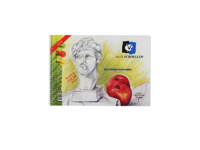 ALEX 25x35 25 YP PP KAPAK RESİM DEFTERİ ALX-816 ALEX 25x35 25 YP PP KAPAK RESİM DEFTERİ ALX-816