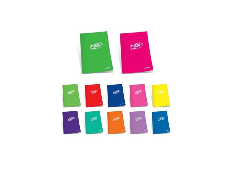 ÇINAR COLLEGE A4 80 YP KARELİ PP KAPAK DİKİŞLİ DEFTER 76005