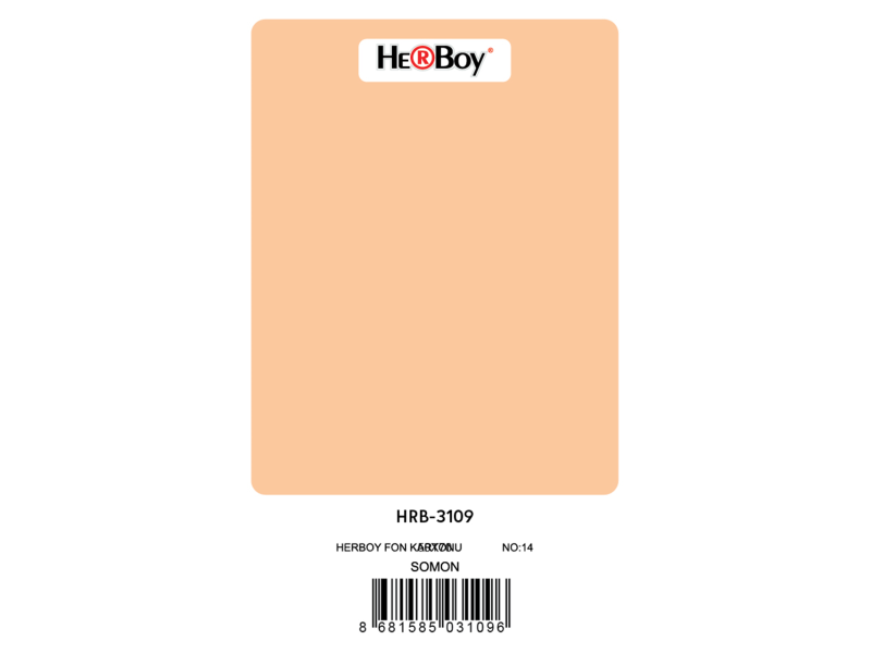 HERBOY HRB3109 FON KARTONU 50x70 SOMON 160 GR NO:14 100 LÜ HERBOY HRB3109 FON KARTONU 50x70 SOMON 160 GR NO:14 100 LÜ