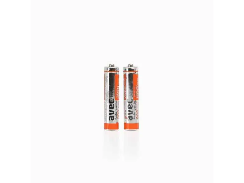 Avec 600 Mah İnce Pil 2'li Avec 600 Mah İnce Pil 2'li